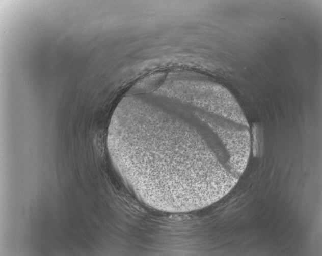 X0000055971491200509162144