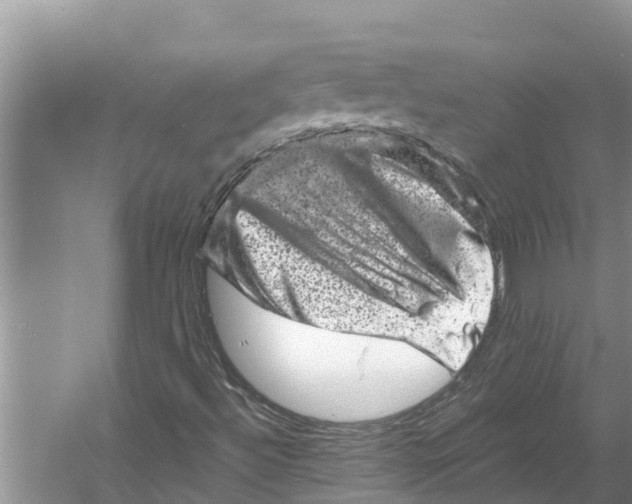 X0000055971492200509162144