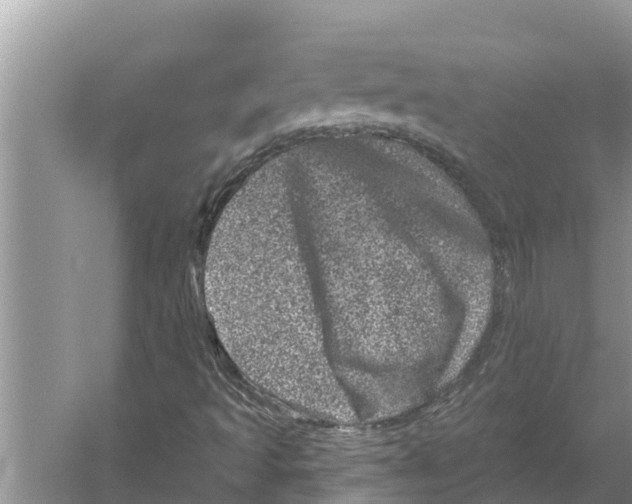 X0000055971493200509162144