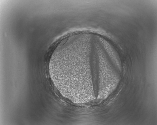 X0000055971494200509162144