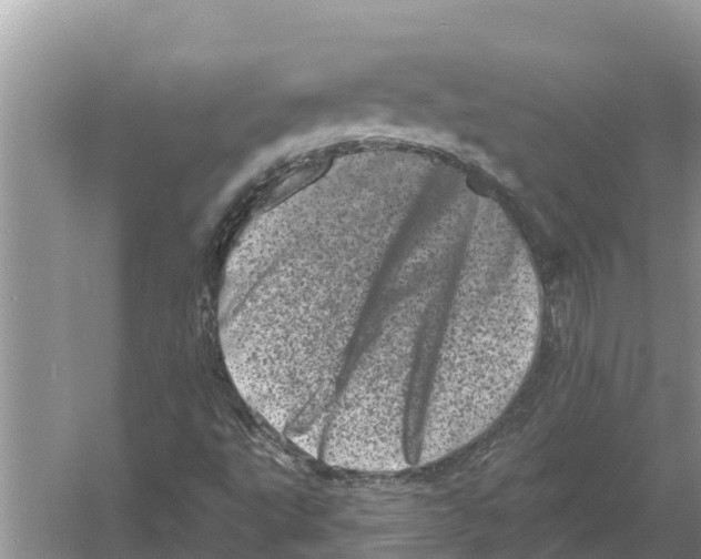 X0000055971495200509162144