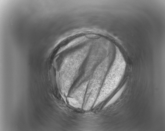 X0000055971496200509162145