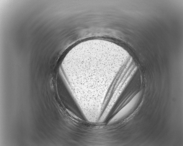 X0000055971497200509162145