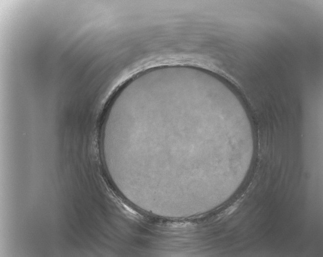 X0000055971498200509162145