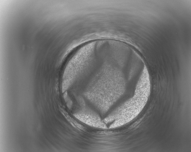 X0000055971499200509162145