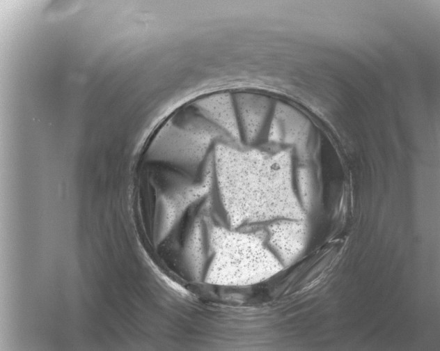 X0000055971500200509162145