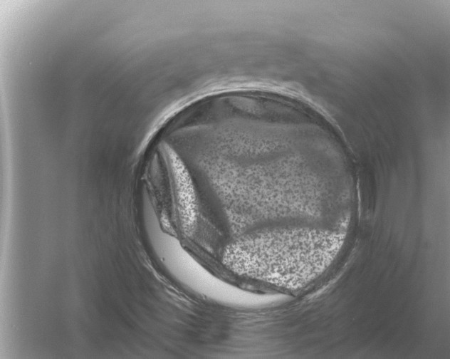 X0000055971501200509162145