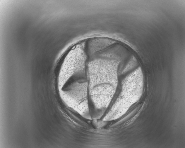 X0000055971502200509162145