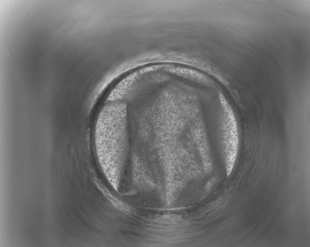 X0000055971503200509162145