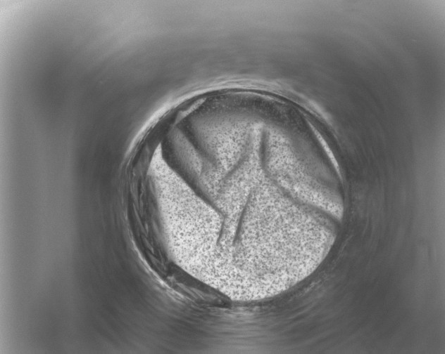 X0000055971504200509162145