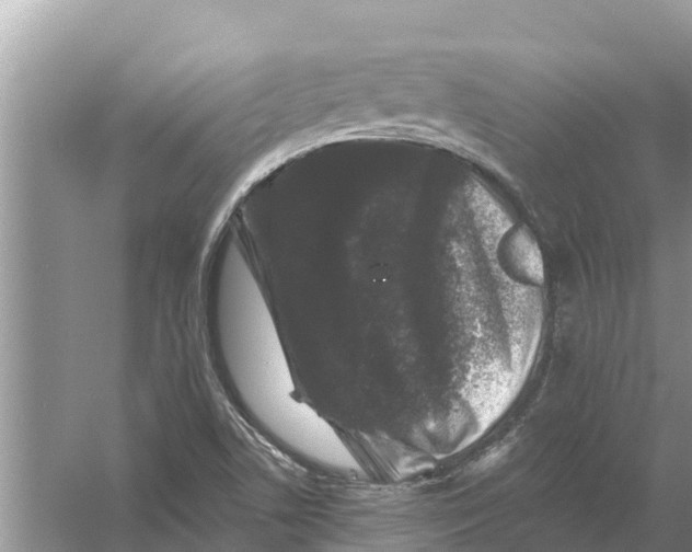 X0000055971506200509162145