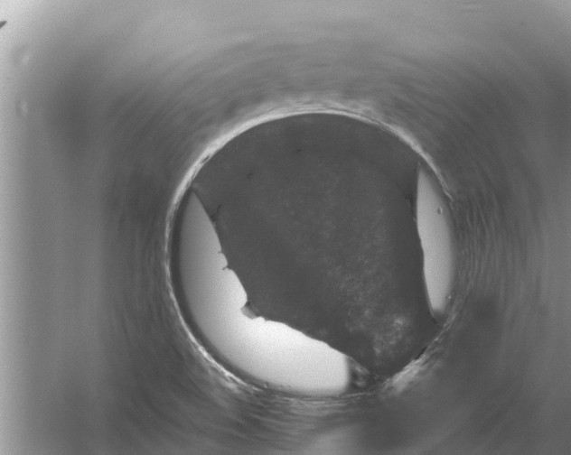 X0000055971508200509162145