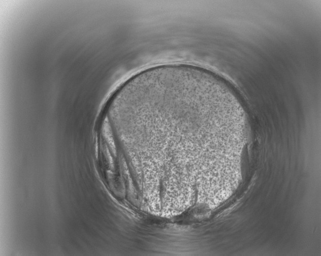 X0000055971509200509162145