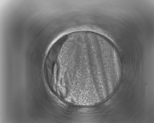 X0000055971510200509162145