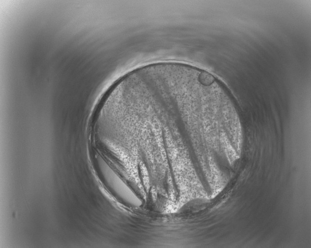 X0000055971511200509162145