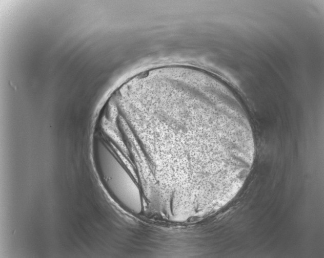 X0000055971512200509162145