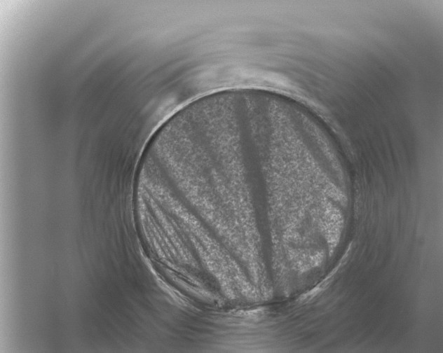 X0000055971513200509162145