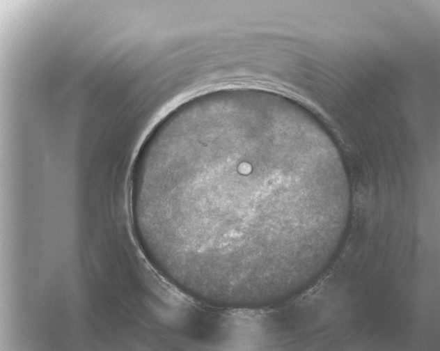 X0000055971514200509162145