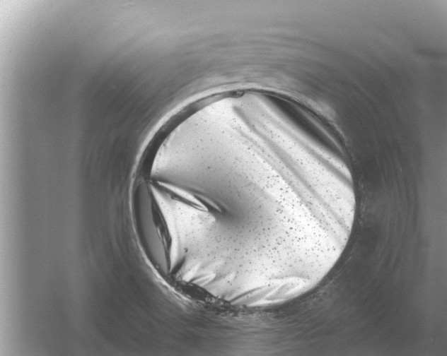 X0000055971516200509162145