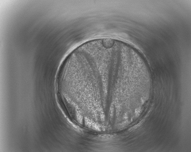 X0000055971517200509162145