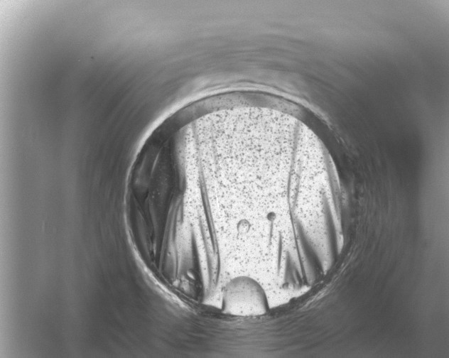 X0000055971518200509162145