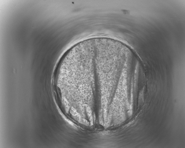 X0000055971519200509162145