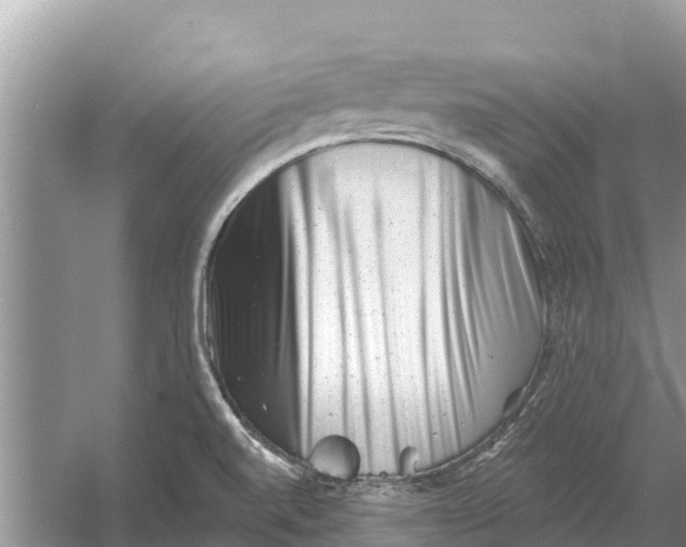 X0000055971520200509162145