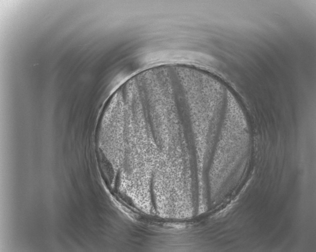 X0000055971521200509162145