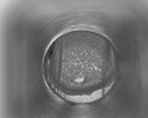 X0000055971522200509162145