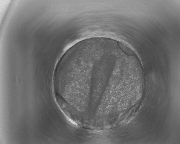 X0000055971525200509162145