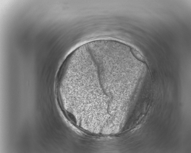 X0000055971526200509162145