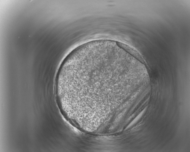 X0000055971527200509162145