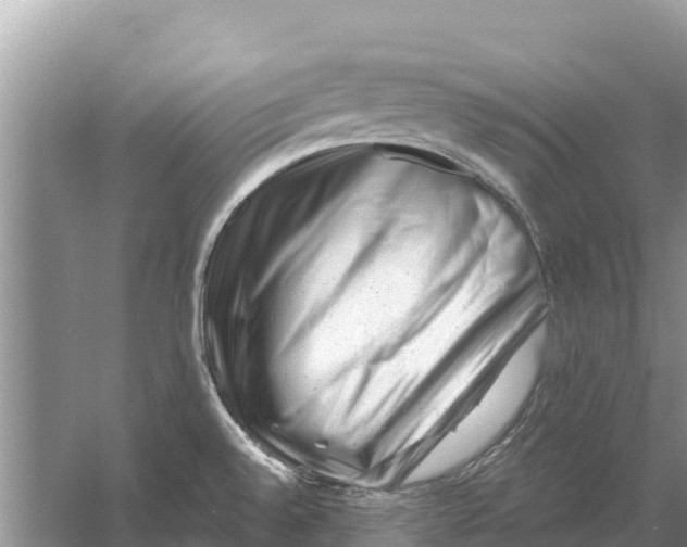 X0000055971528200509162145