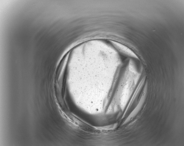 X0000055971530200509162145