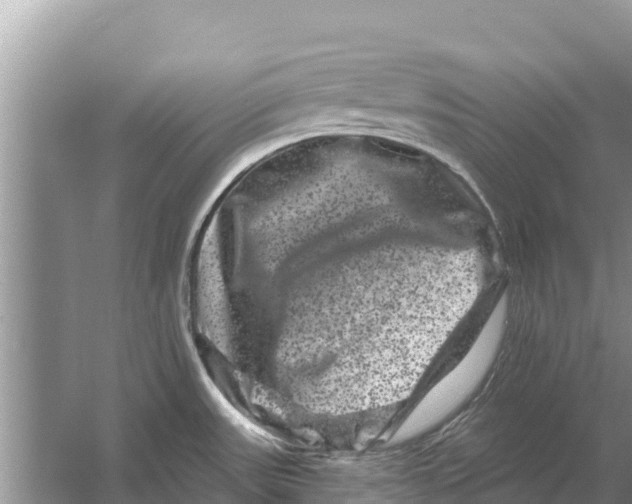 X0000055971531200509162145