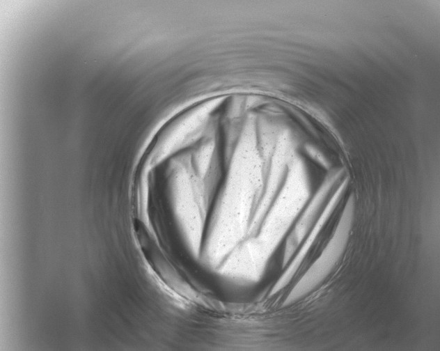 X0000055971532200509162145