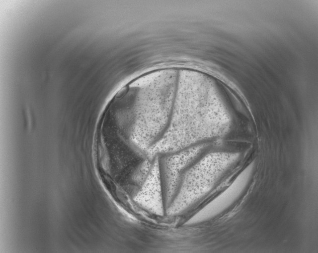 X0000055971533200509162145