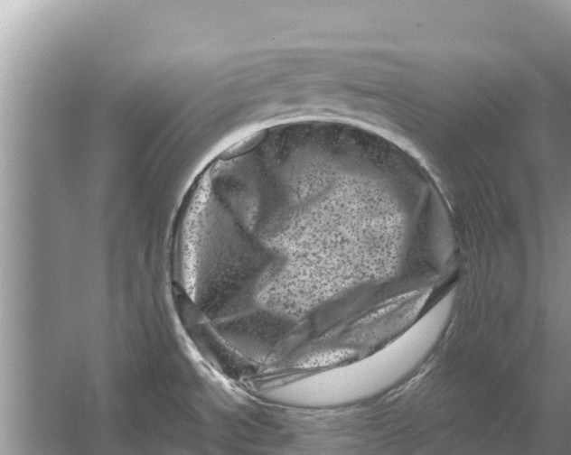 X0000055971534200509162145