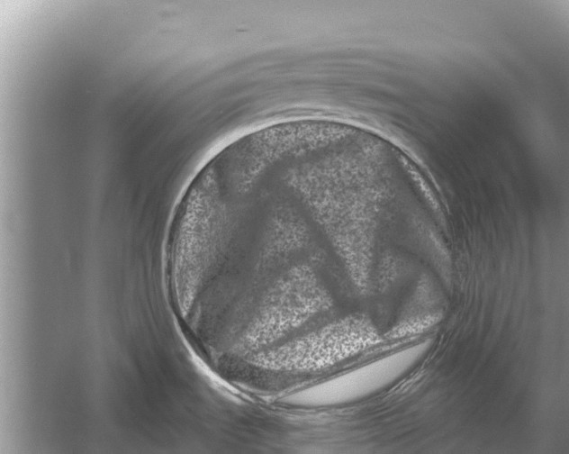 X0000055971535200509162145