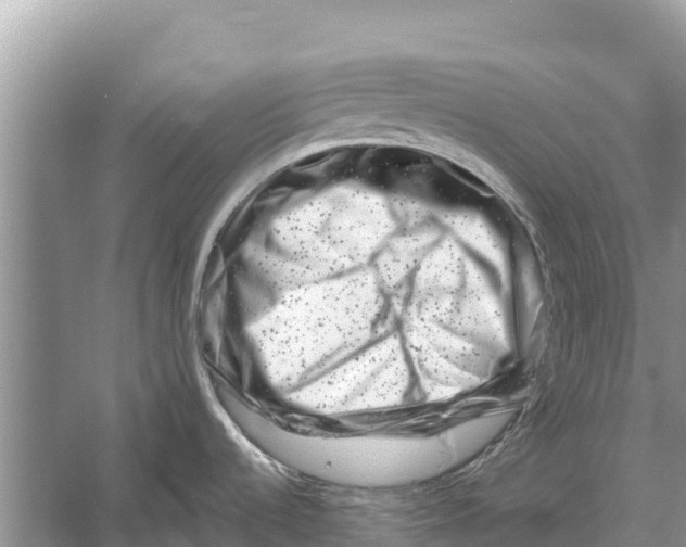 X0000055971536200509162145