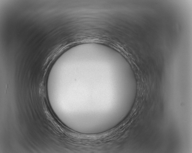 X0000055980002200508190741