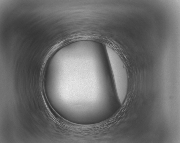 X0000055980003200508190741