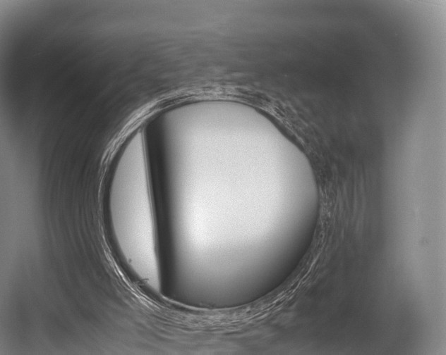 X0000055980005200508190741