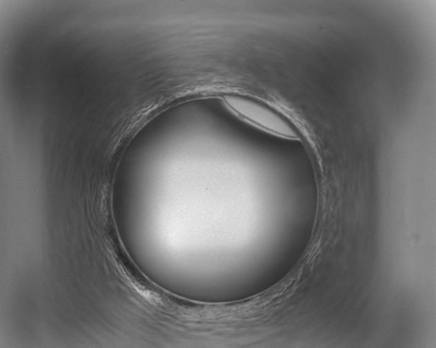 X0000055980009200508190741