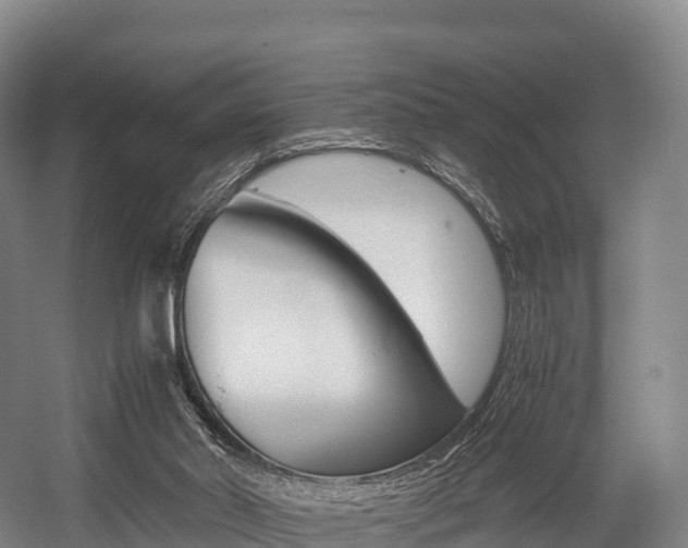 X0000055980014200508190741
