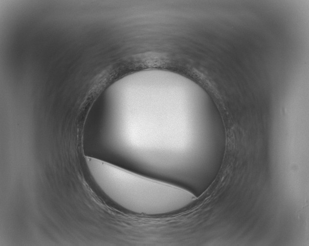 X0000055980018200508190741