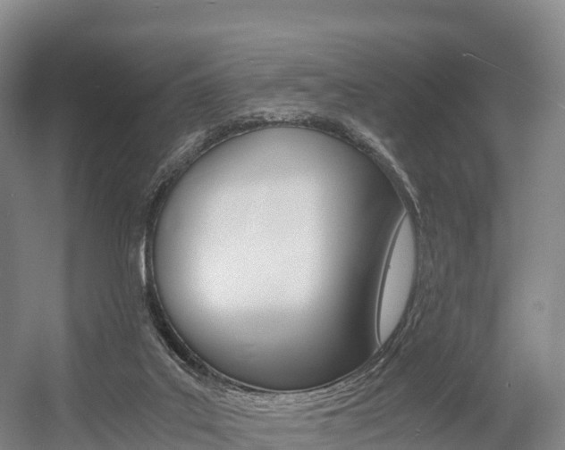X0000055980019200508190741