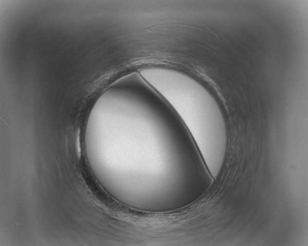 X0000055980020200508190741