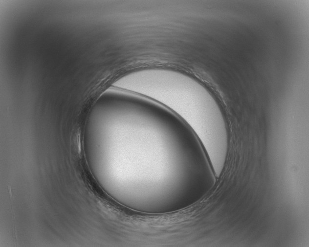 X0000055980021200508190741
