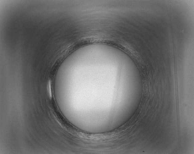 X0000055980022200508190741